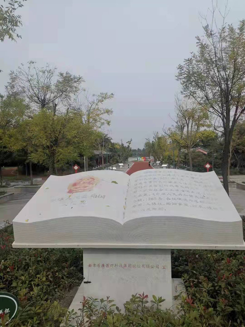 民法典，與生活共行